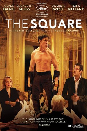 The Square 2017