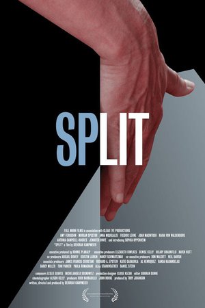 Split 2016