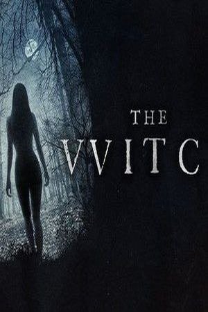 The VVITCH 2015