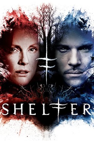 Shelter 2010