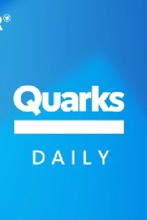 Quarks Daily